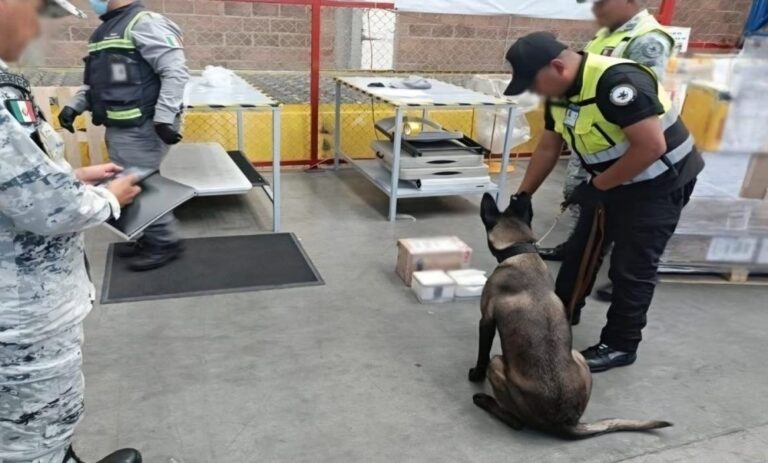 Aseguran clorhidrato de metanfetamina en la Aduana del Aeropuerto Felipe Ángeles